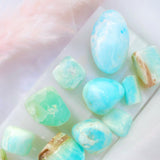 Caribbean Calcite Mini Palm