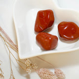 Red Jasper Palm