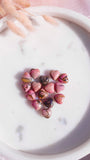 Rhodonite Heart