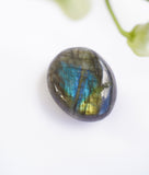 Labradorite Palm