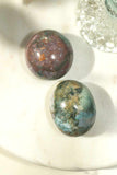 Ocean Jasper Palm